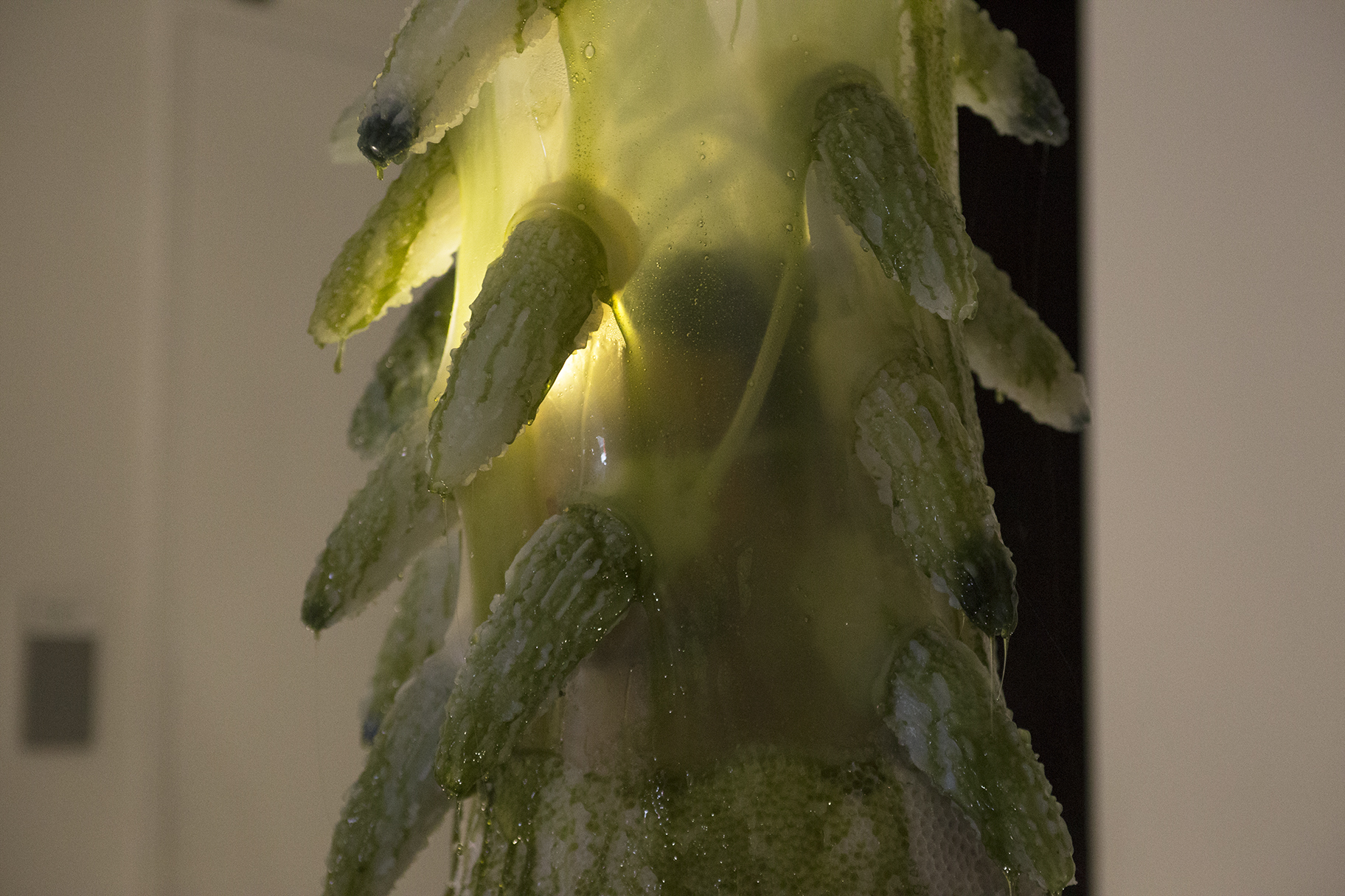 Detail of a gelatenous form covered in green slime 